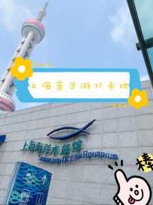 上海水族馆门票套票?