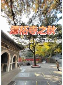 2023北京潭柘寺银杏节时间+门票+活动内容