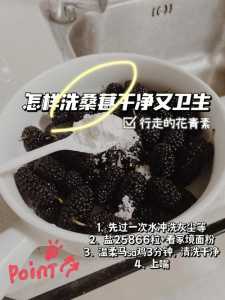 桑椹怎么清洁才干净