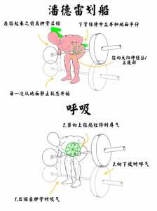 潘德雷划船法锻炼背部肌肉