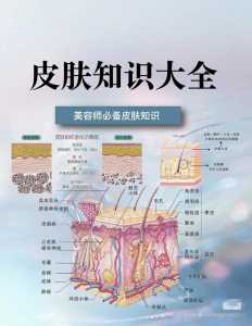 生活中美容小常识