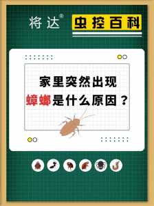 生活敲门app靠谱吗