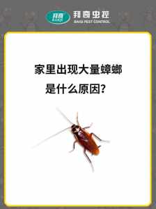 手机上有什么好的答题的软件呢?