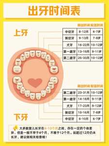 儿童牙齿常识顺口溜